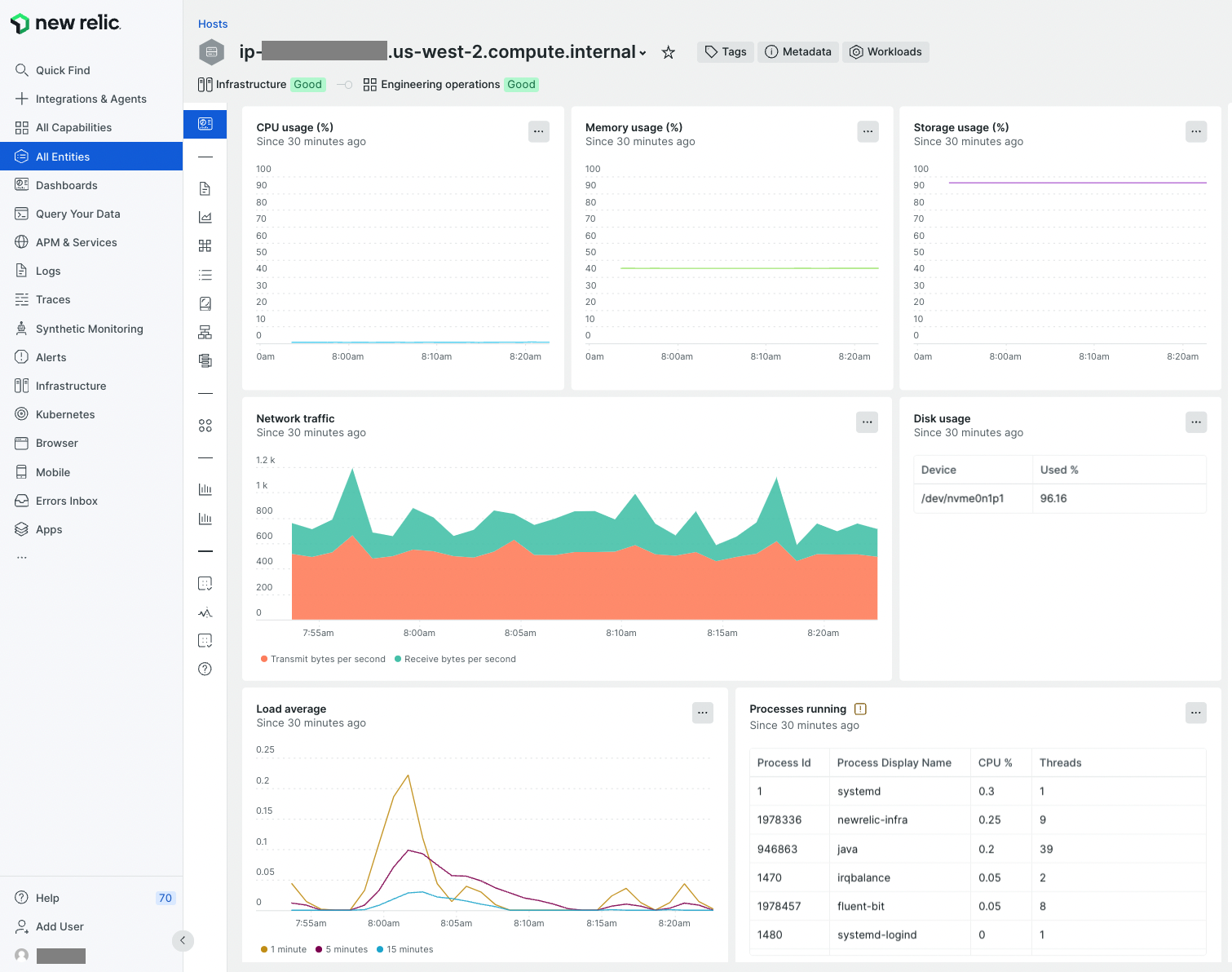 New Relic infrastructure view