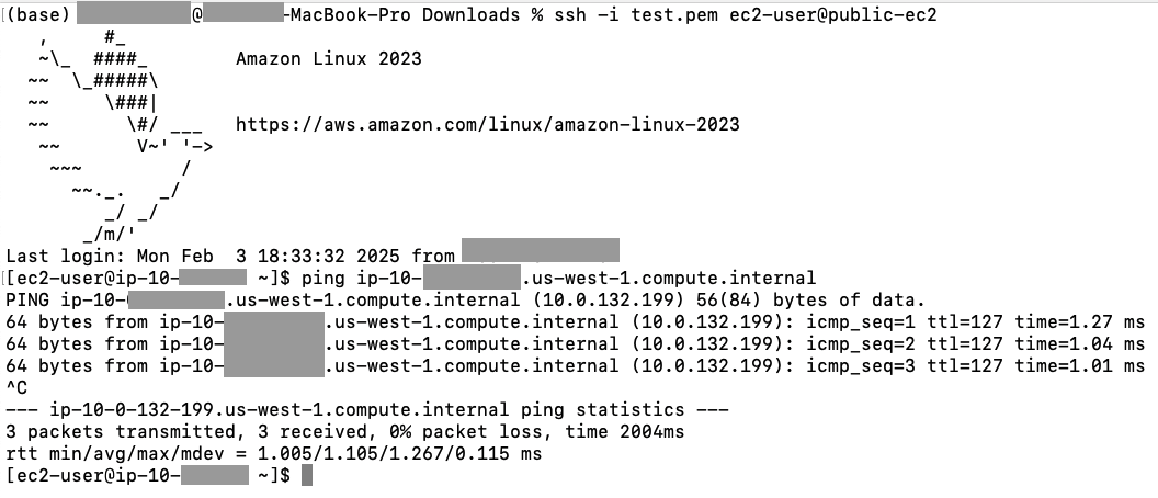 Tailscale public ec2 Amazon linux cluster
