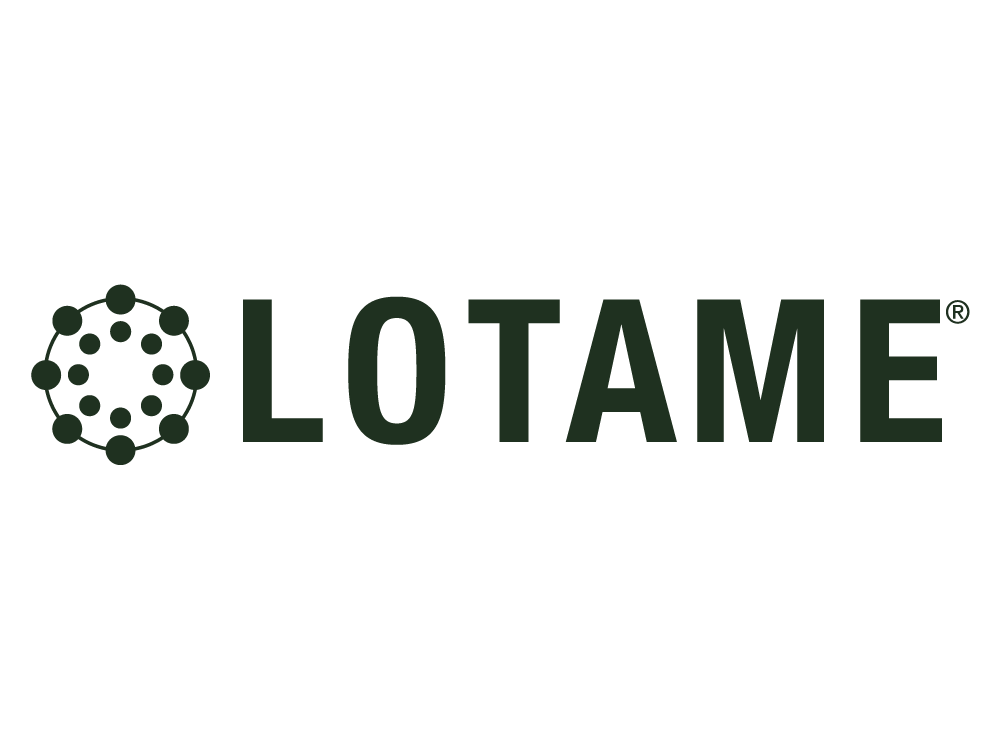 Lotame Lotame