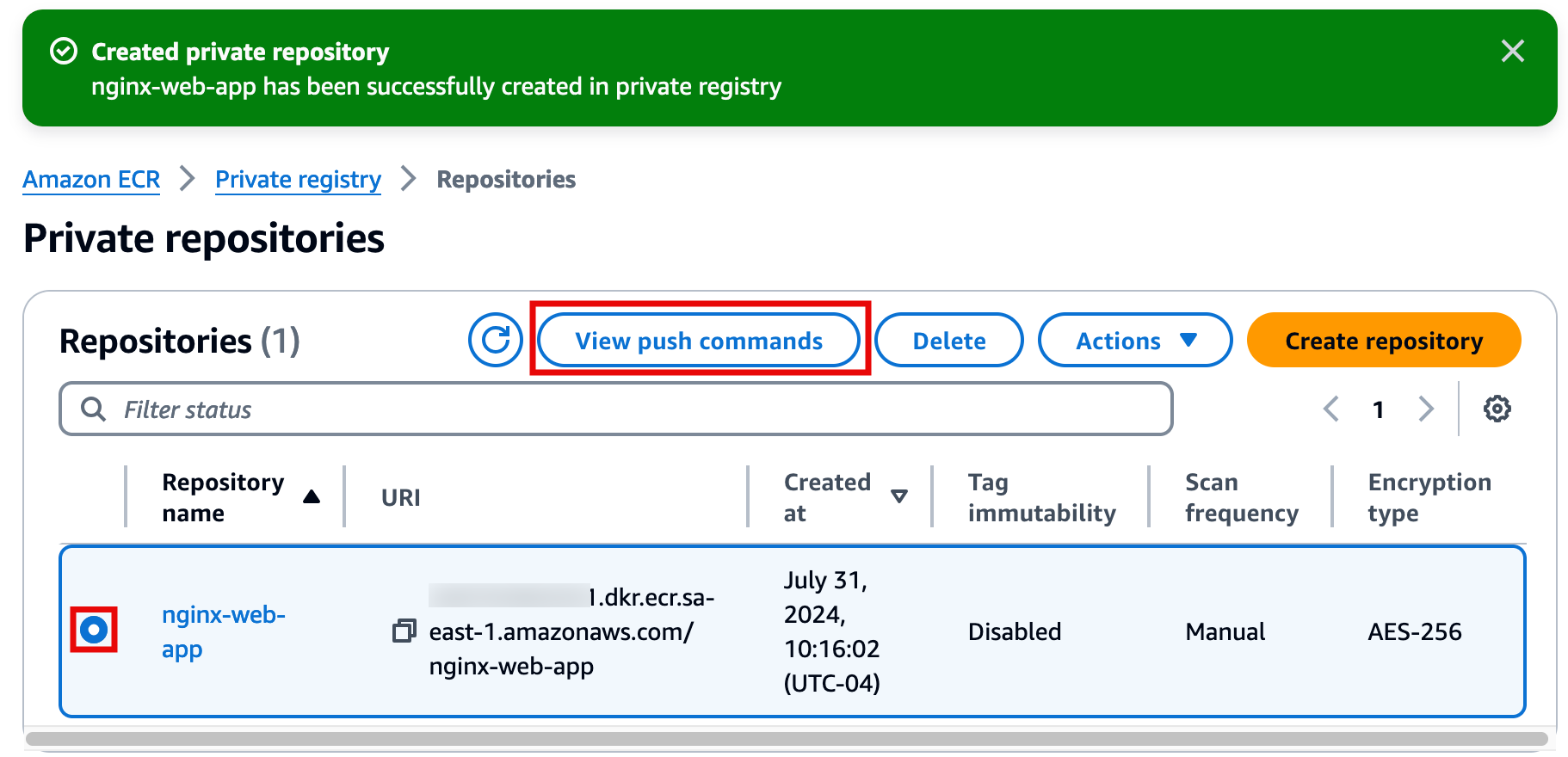"Amazon ECR interface showing a successfully created private repository named 'nginx-web-app' with options like 'View push commands,' 'Delete,' and 'Actions.'"