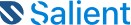 "Salient logo with blue text and abstract 'S' design."