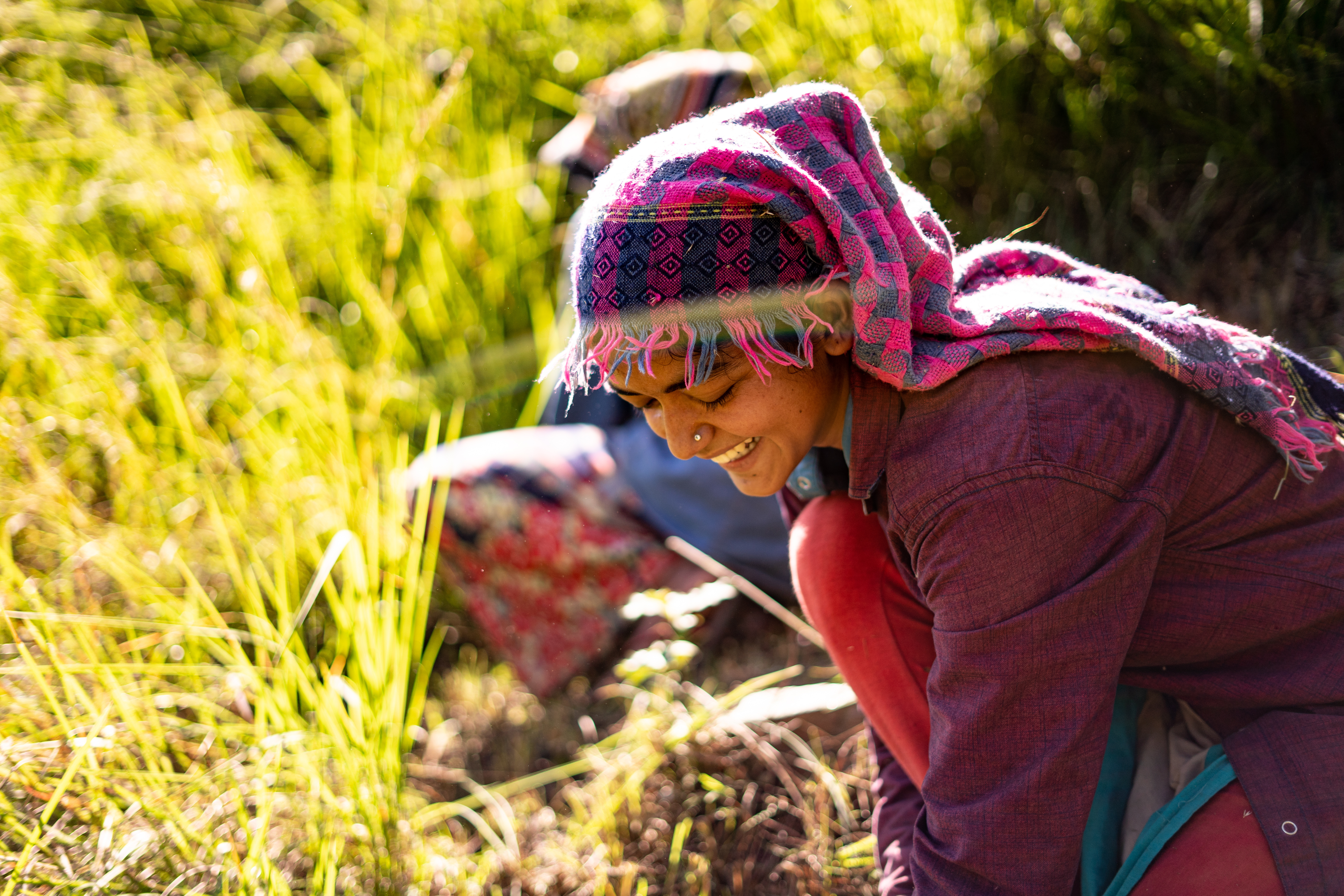 Portrait of an Indian female farmer in traditional dress. Indian girl farmer working in the fields.