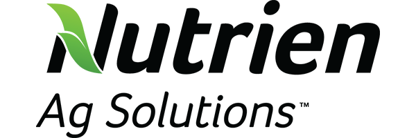 Qlik logo with a green and black color scheme.