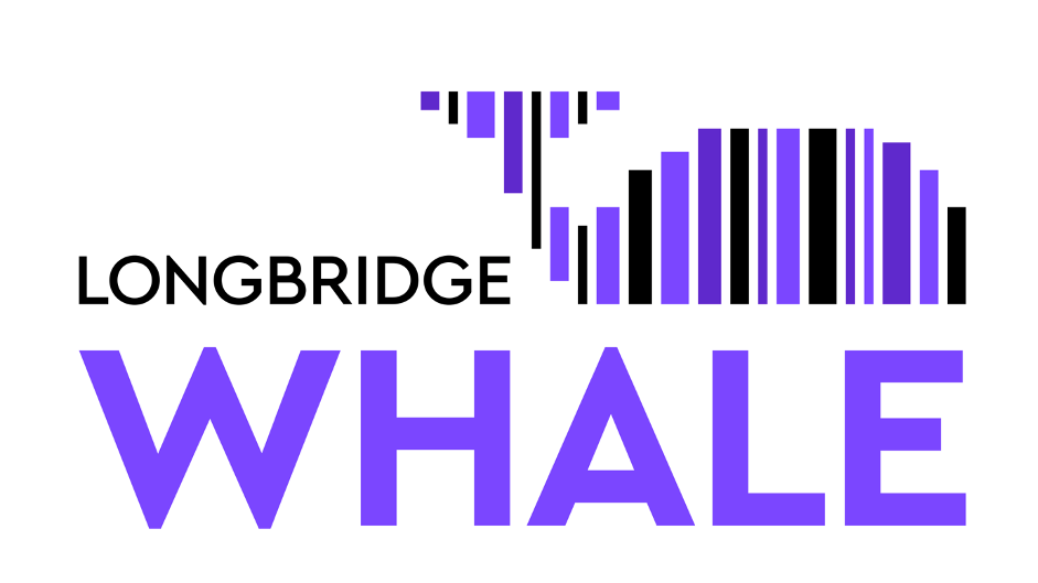 Long Bridge Technology HK Limited Long Bridge Technology HK Limited